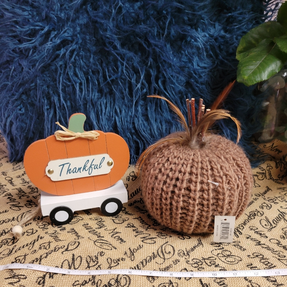 Lot of 2 Fall decorations crotcheted pumpkin & pumpkin car